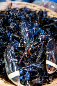 homard frais